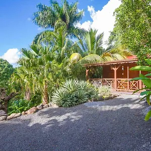 Maison d'hôtes L'îlot Palmiers, Pointe-Noire